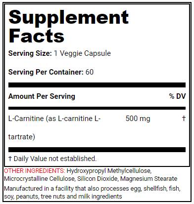L-Carnitine Power - 60 capsules - Nutra Best Europe