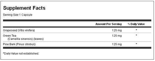 Mastic Gum 500 mg 60 capsules - Nutra Best Europe
