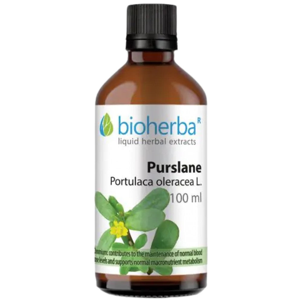 Portulaca oleracea (porcsin) tinktúra - 100 ml