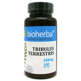Tribulus Terrestris 250 mg - 100 kapszula