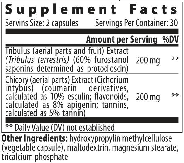 Tribulus Cichorium - 60 capsules - Nutra Best Europe