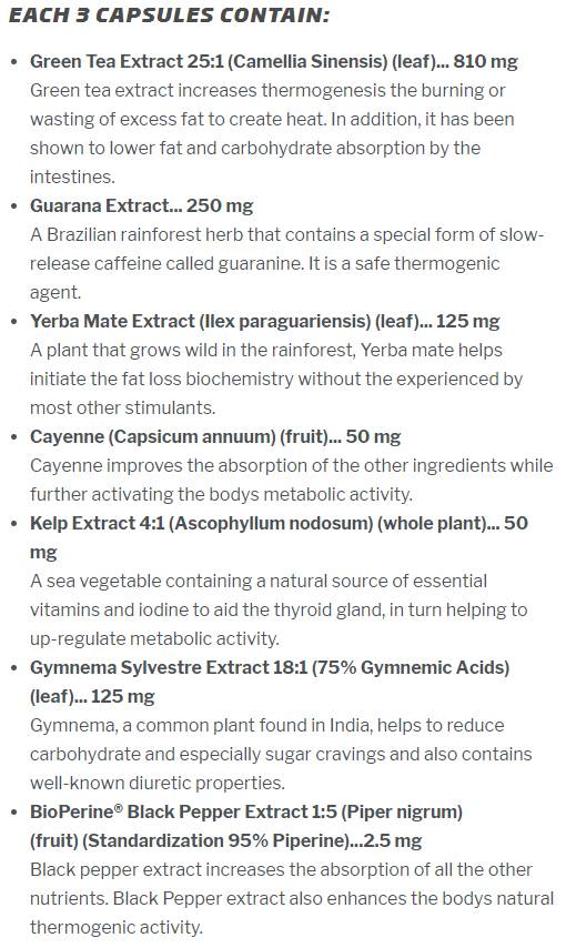 Lean Energy Ultimate 295 mg 90 capsules - Nutra Best Europe