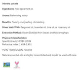 Spearmint Oil | 100% Pure Mentha Spicata - 30 ml - Nutra Best Europe