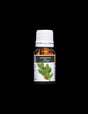 White pine essential oil - immune-boosting and anti-infective effect - Aceite Esencial Pino, 10 ml - Nutra Best Europe