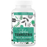 Tribulus Terrestris | 90% Saponins - 90 capsules - Nutra Best Europe