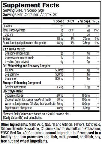 Amino Build - Next Gen 276 grams - Nutra Best Europe