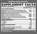 Amino Charger + Hydration 399 grams - Nutra Best Europe