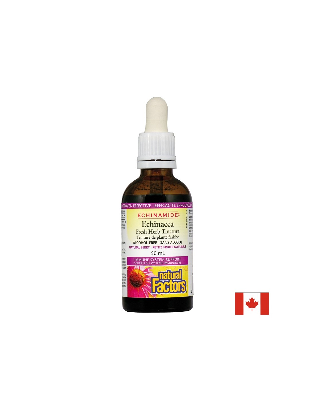 Echinacea Fresh Herb Tincture 1000 mg - 50 ml - Nutra Best Europe