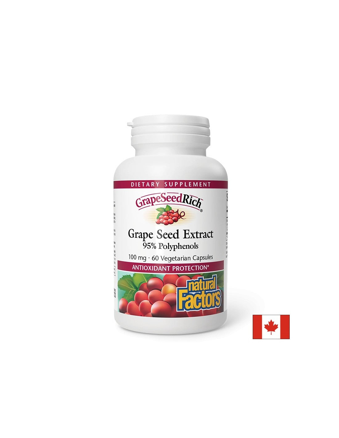 GrapeSeedRich | Grape Seed Extract 100 mg - 60 capsules - Nutra Best Europe