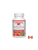 Apple Pectin Concentrate 500 mg - 90 capsules - Nutra Best Europe