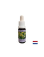 Balances the ego - Essence Sunny Orchid No. 18, drops 15 ml - Nutra Best Europe
