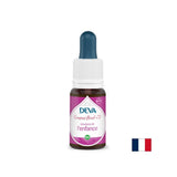 Balancing emotions in children, floral essences, Bach method drops No. 11, 15 ml - Nutra Best Europe