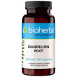 Dandelion Root 350 mg - 100 capsules - Nutra Best Europe