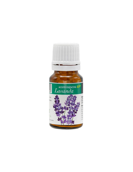 Pain-relieving and toning properties - Organic lavender essential oil, 10 ml - Nutra Best Europe