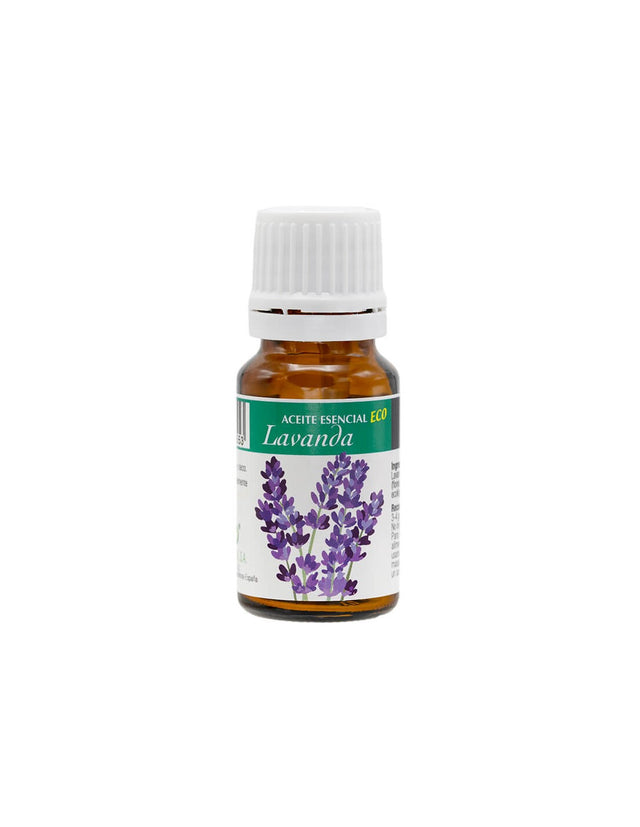Pain-relieving and toning properties - Organic lavender essential oil, 10 ml - Nutra Best Europe