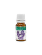 Pain-relieving and toning properties - Organic lavender essential oil, 10 ml - Nutra Best Europe