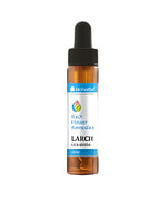 Bach Drops LARCH 20 ml - Nutra Best Europe