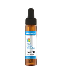 Bach Drops LARCH 20 ml - Nutra Best Europe