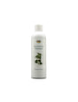 Brennessel Shampoo - Shampoo with nettle, 250 ml Karl Minck - Nutra Best Europe