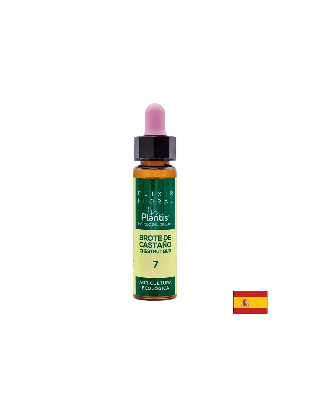 Brote de castaño (Chestnut but) Elixir Floral 7 - Chestnut bud flower elixir, 10 ml Artesania - Nutra Best Europe