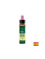 Brote de castaño (Chestnut but) Elixir Floral 7 - Chestnut bud flower elixir, 10 ml Artesania - Nutra Best Europe