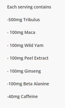 Testo Shock | with Tribulus & Maca - 300 grams - Nutra Best Europe