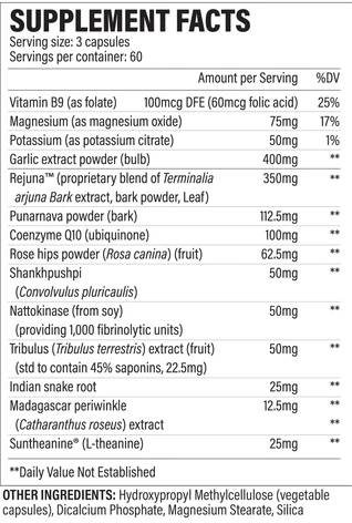 Blood Pressure | with Garlic & Rejuna - 180 capsules - Nutra Best Europe