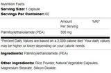 Palmitoylethanolamide 300 mg - 60 capsules - Nutra Best Europe