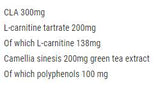 CLA + L-Carnitine + Green Tea - 120 capsules - Nutra Best Europe