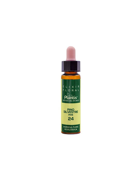 White pine - flower elixir for feelings of guilt - Drops according to the method of Dr. Bach, 10 ml - Nutra Best Europe