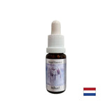 Gives strength to overcome difficulties - Michael Essence (Angel Essence No. 17), drops 15 ml - Nutra Best Europe