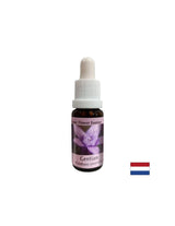 Gives confidence - Gentian Essence No. 12, drops 15 ml - Nutra Best Europe