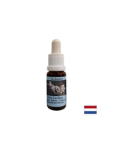 Gives inner strength in unstable situations - Sea Snail Essence No. 8, drops 15 ml - Nutra Best Europe