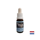 Gives inner strength in unstable situations - Sea Snail Essence No. 8, drops 15 ml - Nutra Best Europe