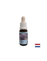 Detoxification - Essence Physalia (Portuguese galley) No. 4, drops 15 ml - Nutra Best Europe