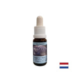 Detoxification - Essence Physalia (Portuguese galley) No. 4, drops 15 ml - Nutra Best Europe
