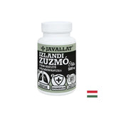 Respiratory tract and immunity - Icelandic lichen, 60 capsules - Nutra Best Europe