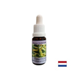 Brings people closer to the energy of nature - Essence Orchid Deva No. 9, drops 15 ml - Nutra Best Europe