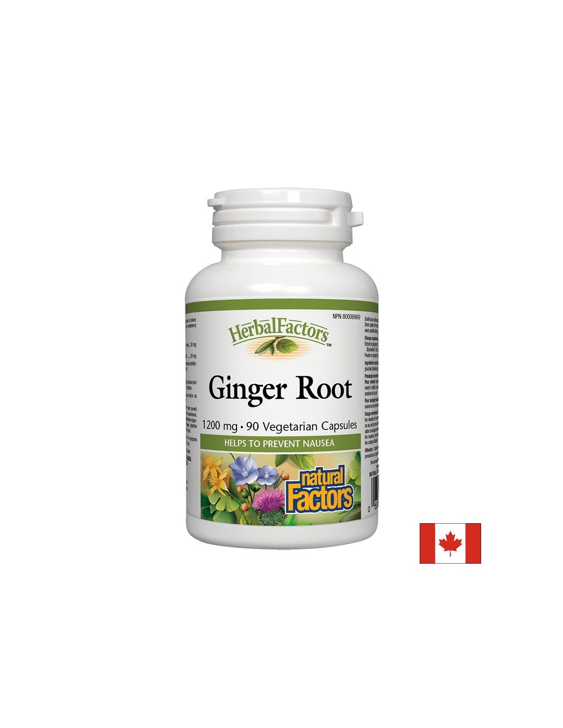 Ginger Root 1200 mg - 90 capsules - Nutra Best Europe