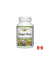 Ginger Root 1200 mg - 90 capsules - Nutra Best Europe