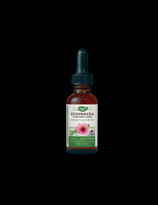 Echinacea - tincture - Immunity and respiratory system, 30 ml (without alcohol) - Nutra Best Europe