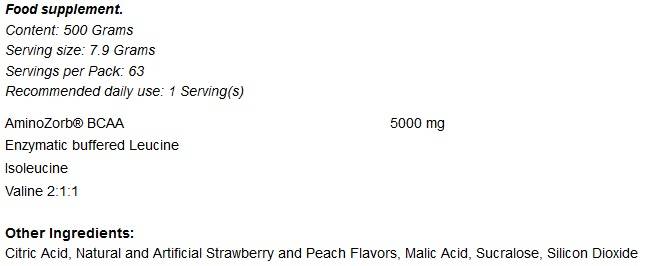 AMINOZORB BCAA - 500 grams - Nutra Best Europe