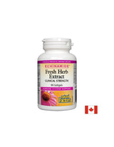 Echinamide Fresh Herb Extract Clinical Strength 250 mg - 90 Gel capsules - Nutra Best Europe