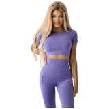 Women's Seamless Short-Sleeve Crop Top | Short Sleeve Crop Top - Purple - Nutra Best Europe