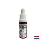 Promotes communication - Swamp Iris Essence, drops 15 ml - Nutra Best Europe