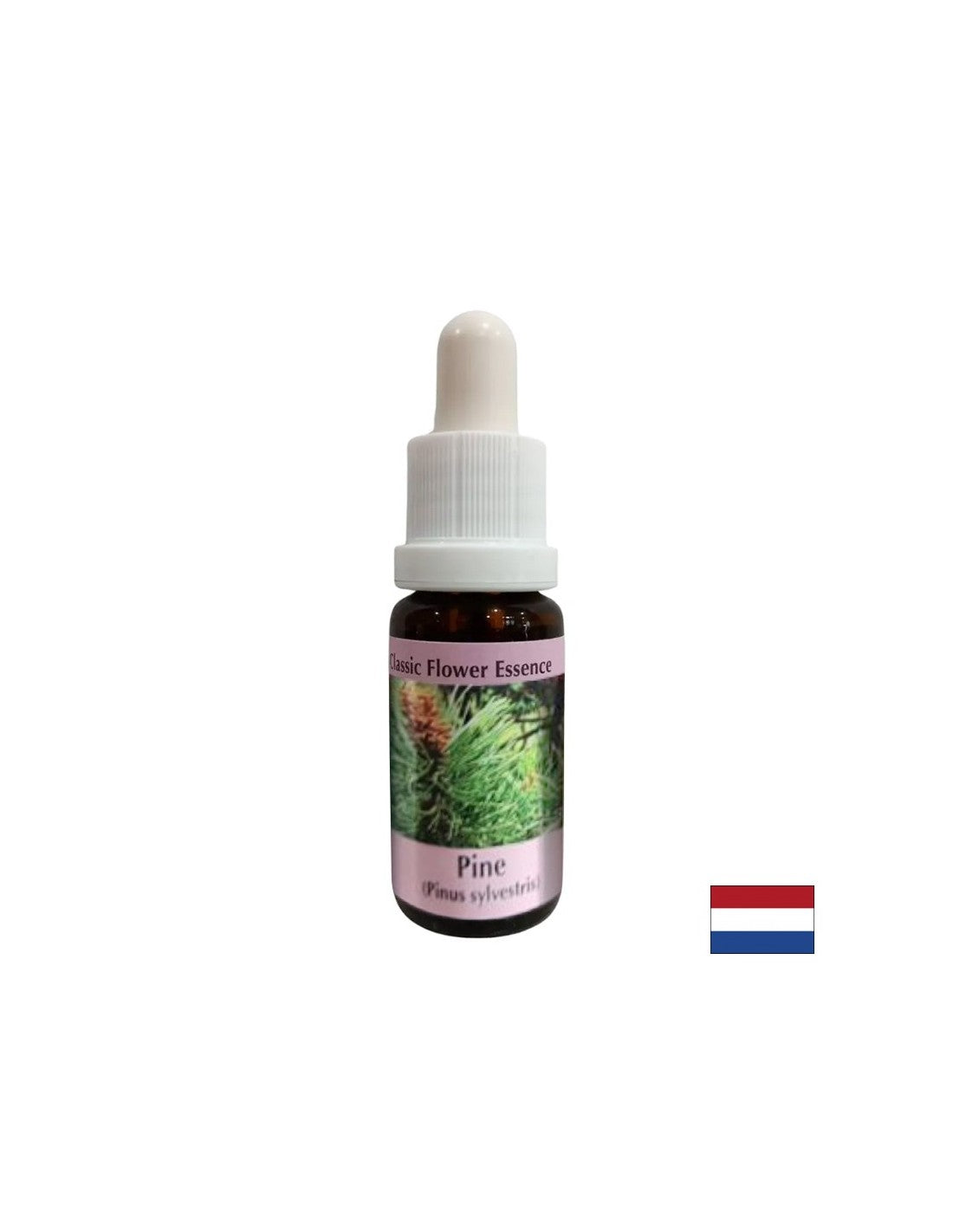 When feeling guilty - Essence Boron No. 24, drops 15 ml - Nutra Best Europe