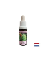 When feeling guilty - Essence Boron No. 24, drops 15 ml - Nutra Best Europe