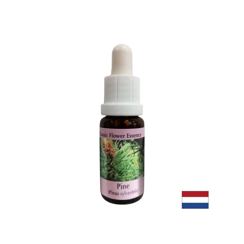 When feeling guilty - Essence Boron No. 24, drops 15 ml - Nutra Best Europe
