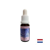 To focus on yourself - Chicory Essence No. 8, drops 15 ml - Nutra Best Europe