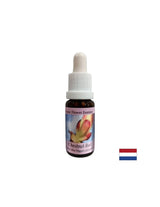 Removes energy blockages - Chestnut Bud Essence No. 7, drops 15 ml - Nutra Best Europe